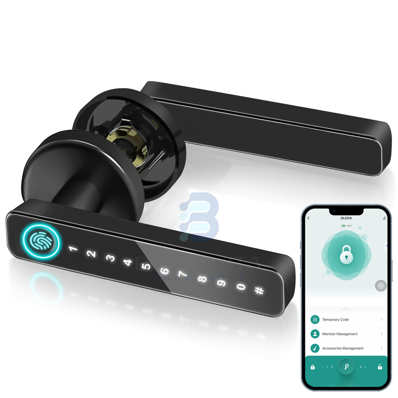 Smart Mortise Lock Set With Fingerprint & Password - Bellavita Smart Homes